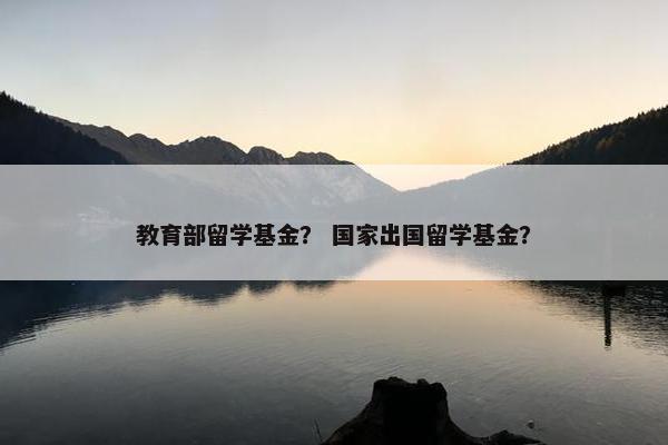 教育部留学基金？ 国家出国留学基金？