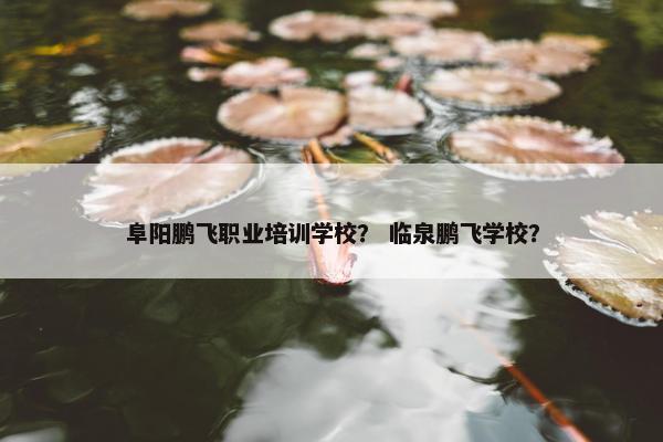 阜阳鹏飞职业培训学校？ 临泉鹏飞学校？