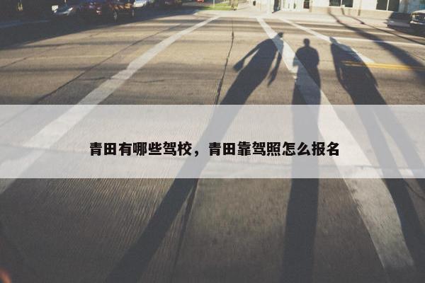 青田有哪些驾校，青田靠驾照怎么报名