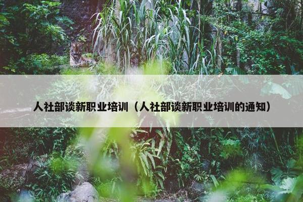 人社部谈新职业培训（人社部谈新职业培训的通知）