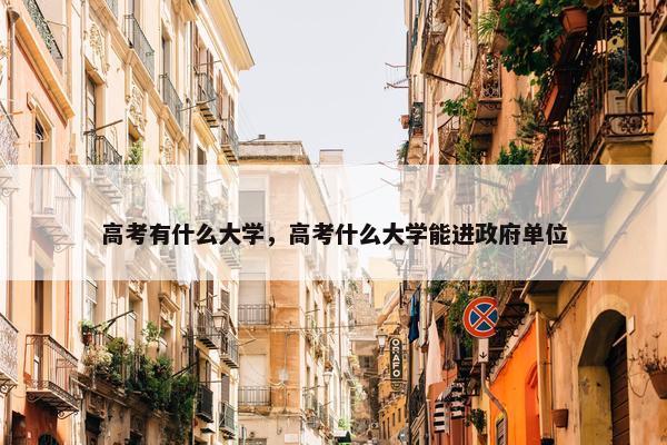 高考有什么大学，高考什么大学能进政府单位