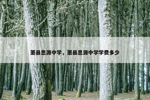 萧县思源中学，萧县思源中学学费多少