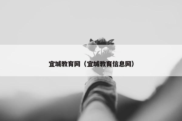 宜城教育网（宜城教育信息网）