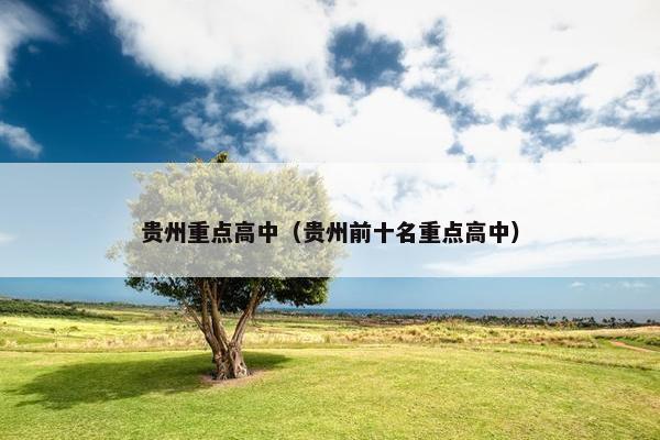 贵州重点高中（贵州前十名重点高中）