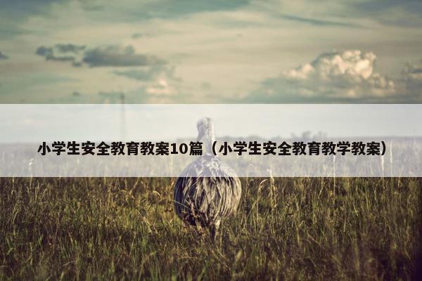 小学生安全教育教案10篇（小学生安全教育教学教案）