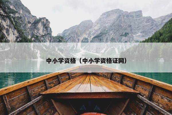 中小学资格（中小学资格证网）