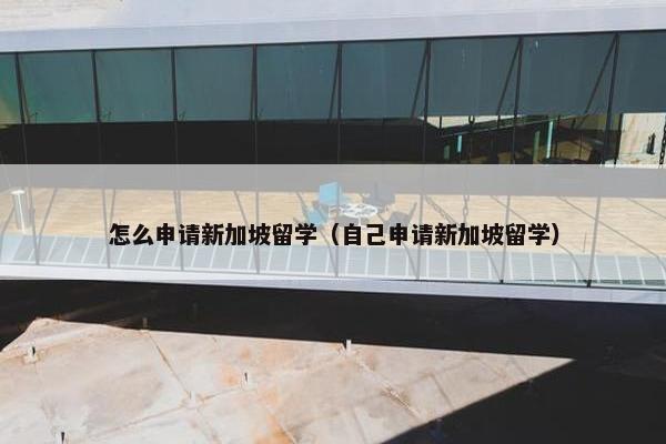 怎么申请新加坡留学（自己申请新加坡留学）