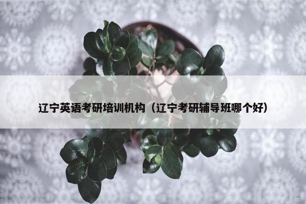 辽宁英语考研培训机构（辽宁考研辅导班哪个好）