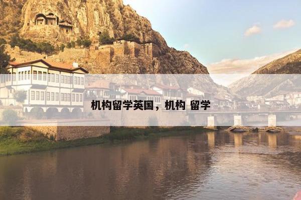机构留学英国，机构 留学