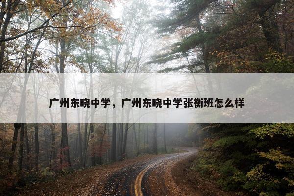广州东晓中学，广州东晓中学张衡班怎么样