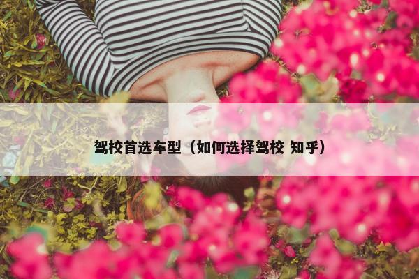 驾校首选车型（如何选择驾校 知乎）