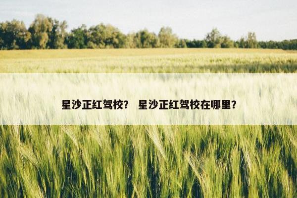 星沙正红驾校？ 星沙正红驾校在哪里？