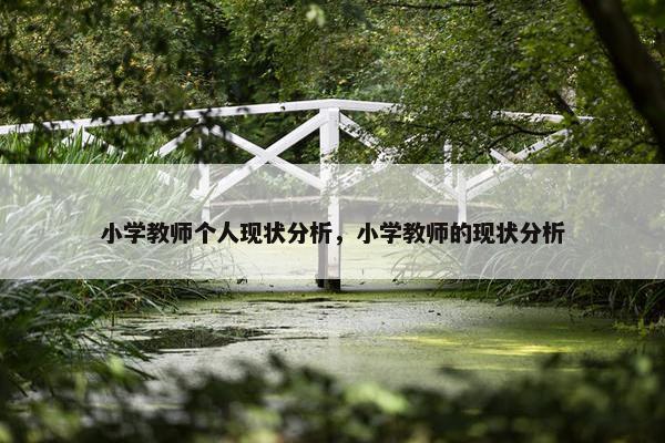 小学教师个人现状分析，小学教师的现状分析