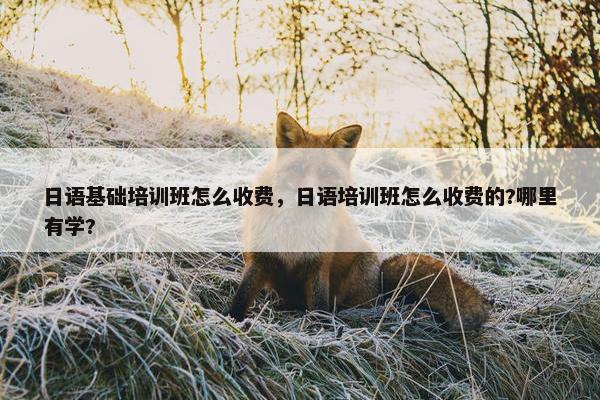 日语基础培训班怎么收费，日语培训班怎么收费的?哪里有学?