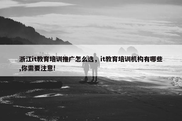 浙江it教育培训推广怎么选，it教育培训机构有哪些,你需要注意!