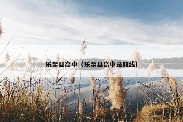 乐至县高中（乐至县高中录取线）