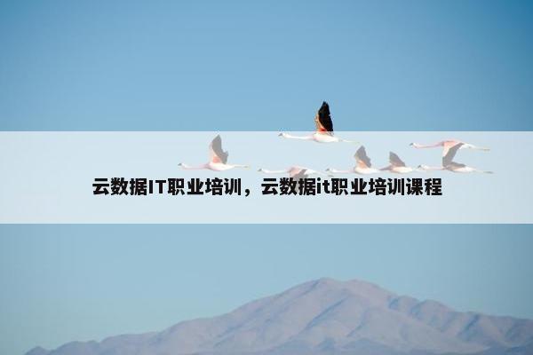 云数据IT职业培训，云数据it职业培训课程