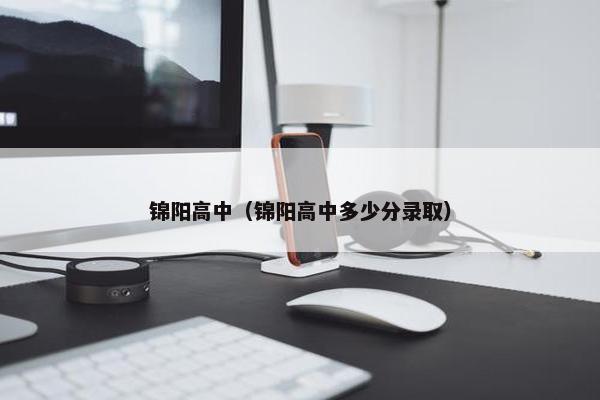锦阳高中（锦阳高中多少分录取）