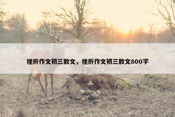 挫折作文初三散文，挫折作文初三散文800字