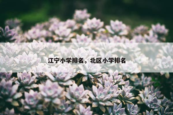 江宁小学排名，北区小学排名