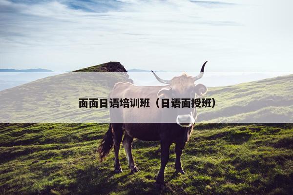 面面日语培训班（日语面授班）