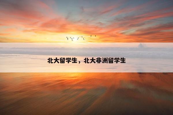 北大留学生，北大非洲留学生