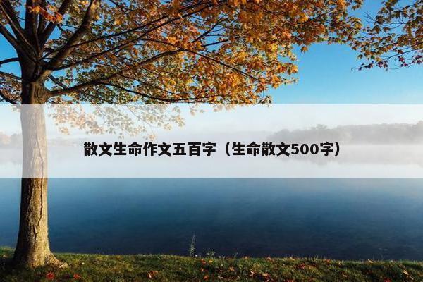 散文生命作文五百字（生命散文500字）