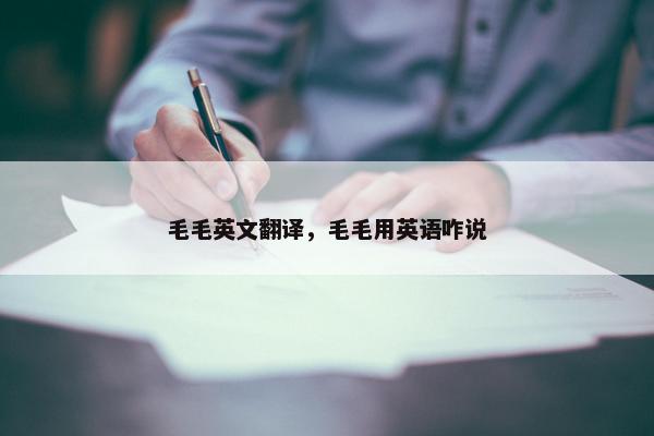 毛毛英文翻译，毛毛用英语咋说