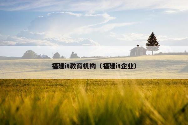 福建it教育机构（福建it企业）