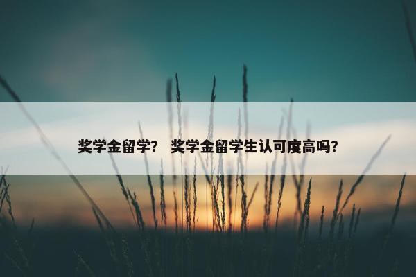奖学金留学？ 奖学金留学生认可度高吗？