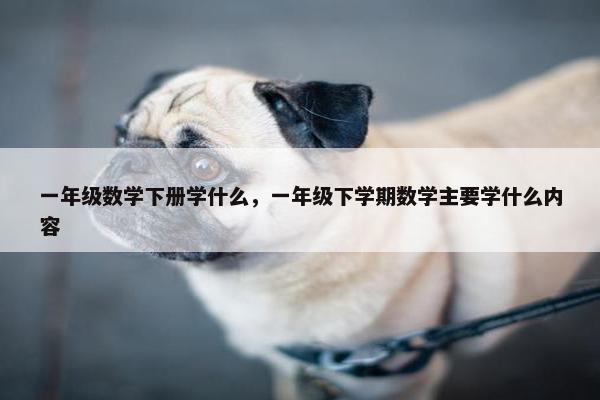 一年级数学下册学什么，一年级下学期数学主要学什么内容