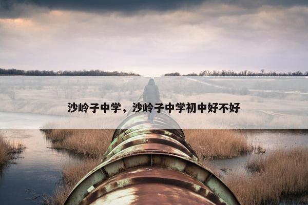 沙岭子中学，沙岭子中学初中好不好