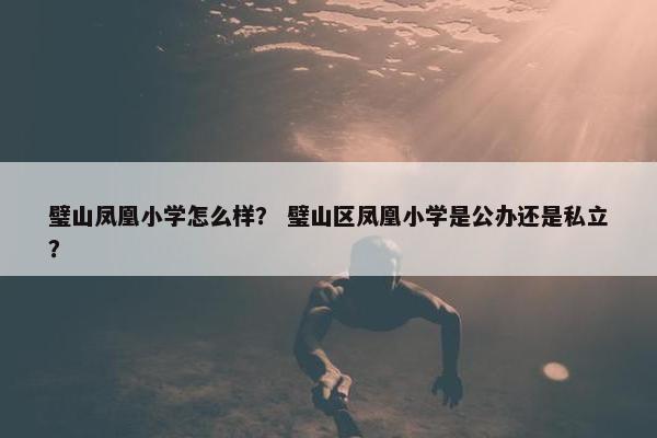 璧山凤凰小学怎么样？ 璧山区凤凰小学是公办还是私立？