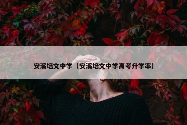 安溪培文中学（安溪培文中学高考升学率）
