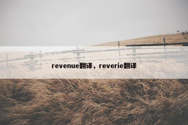 revenue翻译，reverie翻译