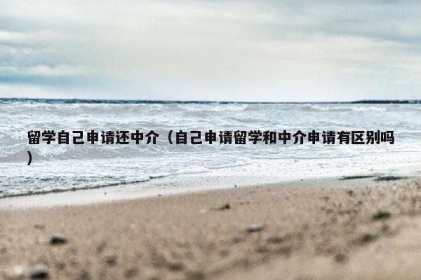 留学自己申请还中介（自己申请留学和中介申请有区别吗）
