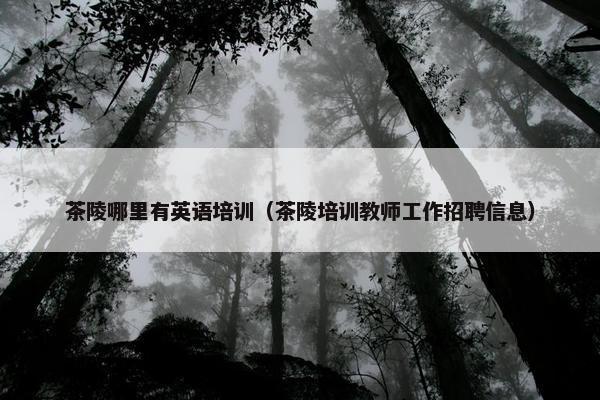 茶陵哪里有英语培训（茶陵培训教师工作招聘信息）