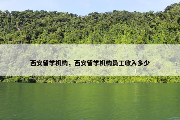 西安留学机构，西安留学机构员工收入多少