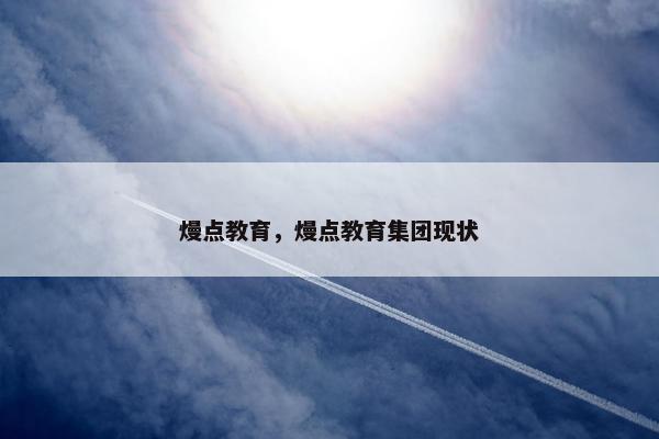 熳点教育，熳点教育集团现状