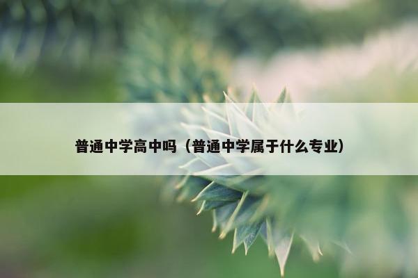 普通中学高中吗（普通中学属于什么专业）