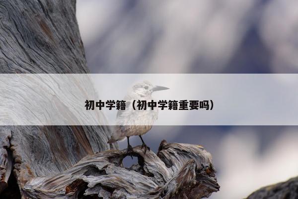 初中学籍（初中学籍重要吗）
