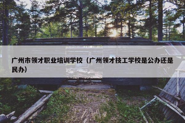 广州市领才职业培训学校（广州领才技工学校是公办还是民办）