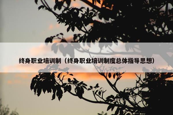 终身职业培训制（终身职业培训制度总体指导思想）
