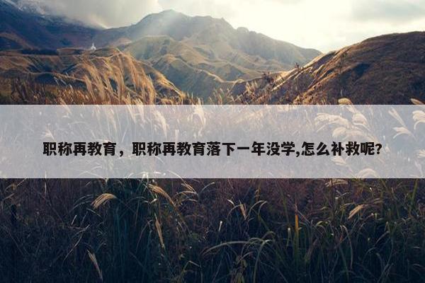 职称再教育，职称再教育落下一年没学,怎么补救呢?