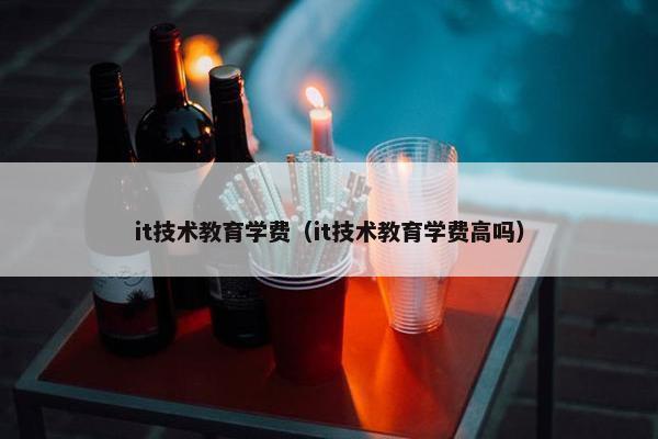 it技术教育学费（it技术教育学费高吗）