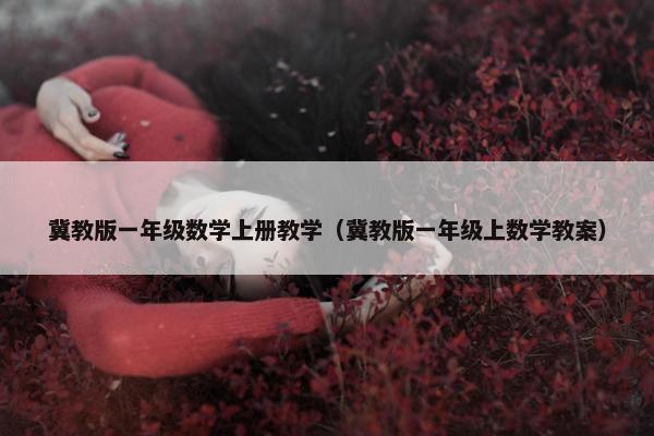 冀教版一年级数学上册教学（冀教版一年级上数学教案）