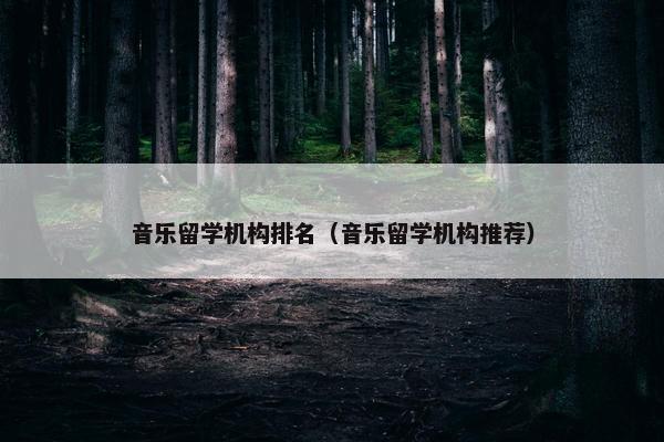 音乐留学机构排名（音乐留学机构推荐）