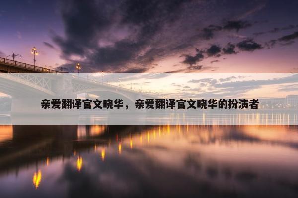 亲爱翻译官文晓华，亲爱翻译官文晓华的扮演者