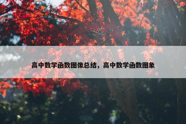 高中数学函数图像总结，高中数学函数图象