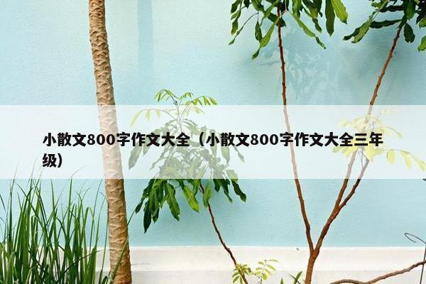 小散文800字作文大全（小散文800字作文大全三年级）